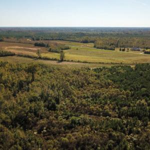 Photo of UNDER CONTRACT!  60 Acres of Farm Timber and Hunting Land For Sale in Pitt County NC!
