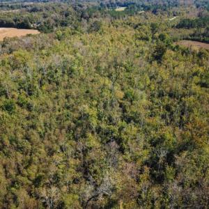 Photo of UNDER CONTRACT!  60 Acres of Farm Timber and Hunting Land For Sale in Pitt County NC!