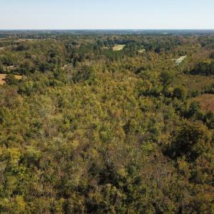 Photo of UNDER CONTRACT!  60 Acres of Farm Timber and Hunting Land For Sale in Pitt County NC!