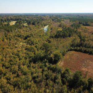 Photo of UNDER CONTRACT!  60 Acres of Farm Timber and Hunting Land For Sale in Pitt County NC!