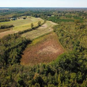 Photo of UNDER CONTRACT!  60 Acres of Farm Timber and Hunting Land For Sale in Pitt County NC!
