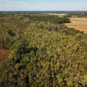 Photo of UNDER CONTRACT!  60 Acres of Farm Timber and Hunting Land For Sale in Pitt County NC!