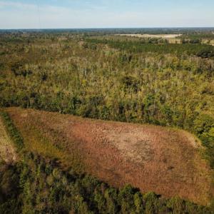 Photo of UNDER CONTRACT!  60 Acres of Farm Timber and Hunting Land For Sale in Pitt County NC!