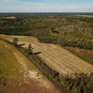 Photo of UNDER CONTRACT!  60 Acres of Farm Timber and Hunting Land For Sale in Pitt County NC!