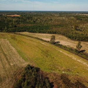 Photo of UNDER CONTRACT!  60 Acres of Farm Timber and Hunting Land For Sale in Pitt County NC!