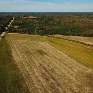 Photo of UNDER CONTRACT!  60 Acres of Farm Timber and Hunting Land For Sale in Pitt County NC!