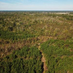 Photo of UNDER CONTRACT!  60 Acres of Farm Timber and Hunting Land For Sale in Pitt County NC!