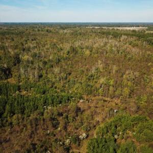 Photo of UNDER CONTRACT!  60 Acres of Farm Timber and Hunting Land For Sale in Pitt County NC!