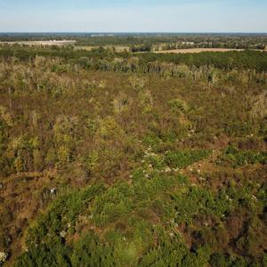 Photo of UNDER CONTRACT!  60 Acres of Farm Timber and Hunting Land For Sale in Pitt County NC!
