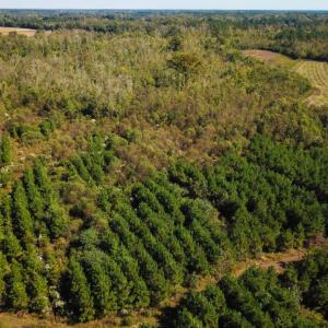 Photo of UNDER CONTRACT!  60 Acres of Farm Timber and Hunting Land For Sale in Pitt County NC!