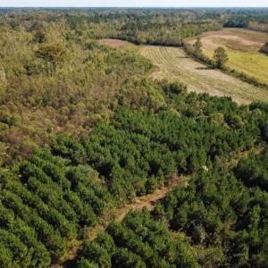 Photo of UNDER CONTRACT!  60 Acres of Farm Timber and Hunting Land For Sale in Pitt County NC!