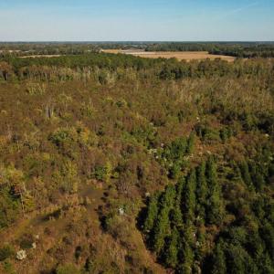 Photo of UNDER CONTRACT!  60 Acres of Farm Timber and Hunting Land For Sale in Pitt County NC!