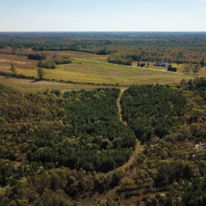 Photo of UNDER CONTRACT!  60 Acres of Farm Timber and Hunting Land For Sale in Pitt County NC!