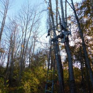 Photo of UNDER CONTRACT!  60 Acres of Farm Timber and Hunting Land For Sale in Pitt County NC!