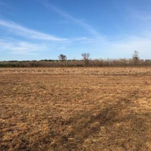 Photo of UNDER CONTRACT!  60 Acres of Farm Timber and Hunting Land For Sale in Pitt County NC!