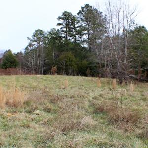 Photo of UNDER CONTRACT!  6 Acres of Rural Residential Land For Sale in Lunenburg County VA!