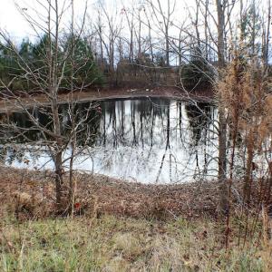 Photo of UNDER CONTRACT!  6 Acres of Rural Residential Land For Sale in Lunenburg County VA!