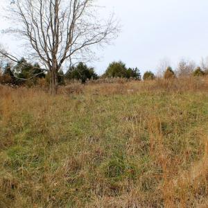 Photo of UNDER CONTRACT!  6 Acres of Rural Residential Land For Sale in Lunenburg County VA!