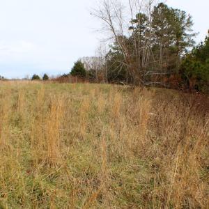 Photo of UNDER CONTRACT!  6 Acres of Rural Residential Land For Sale in Lunenburg County VA!