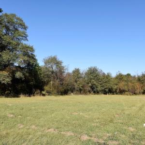 Photo of UNDER CONTRACT!  16 Acres of Residential Hunting Land For Sale In Duplin County NC!
