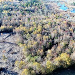 Photo of UNDER CONTRACT!  16 Acres of Residential Hunting Land For Sale In Duplin County NC!
