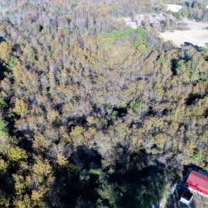 Photo of UNDER CONTRACT!  16 Acres of Residential Hunting Land For Sale In Duplin County NC!