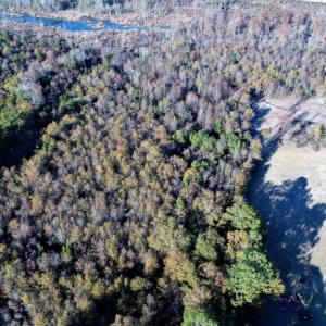 Photo of UNDER CONTRACT!  16 Acres of Residential Hunting Land For Sale In Duplin County NC!