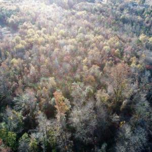 Photo of UNDER CONTRACT!  16 Acres of Residential Hunting Land For Sale In Duplin County NC!