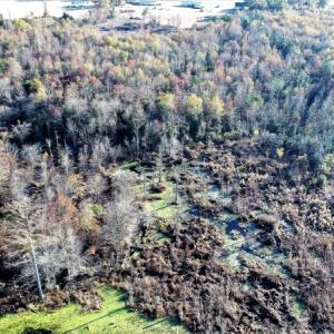 Photo of UNDER CONTRACT!  16 Acres of Residential Hunting Land For Sale In Duplin County NC!