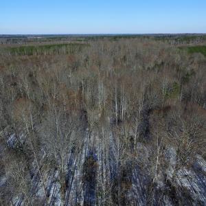 Photo of UNDER CONTRACT!  7.73 acres of Residential and Hunting Land For Sale in Dinwiddie County VA!