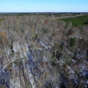 Photo of UNDER CONTRACT!  7.73 acres of Residential and Hunting Land For Sale in Dinwiddie County VA!