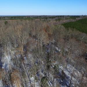 Photo of UNDER CONTRACT!  7.73 acres of Residential and Hunting Land For Sale in Dinwiddie County VA!