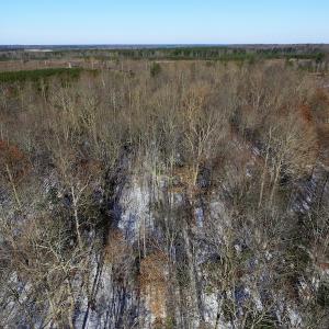Photo of UNDER CONTRACT!  7.73 acres of Residential and Hunting Land For Sale in Dinwiddie County VA!