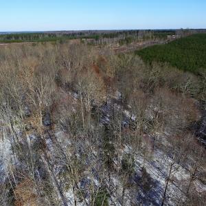 Photo of UNDER CONTRACT!  7.73 acres of Residential and Hunting Land For Sale in Dinwiddie County VA!