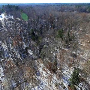 Photo of UNDER CONTRACT!  7.73 acres of Residential and Hunting Land For Sale in Dinwiddie County VA!