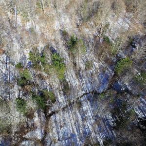 Photo of UNDER CONTRACT!  7.73 acres of Residential and Hunting Land For Sale in Dinwiddie County VA!