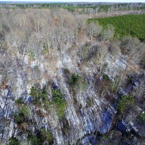 Photo of UNDER CONTRACT!  7.73 acres of Residential and Hunting Land For Sale in Dinwiddie County VA!