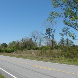 Photo of UNDER CONTRACT!  64.37 Acres of Farm and Hunting Land For Sale in Brunswick County NC!