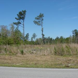 Photo of UNDER CONTRACT!  64.37 Acres of Farm and Hunting Land For Sale in Brunswick County NC!