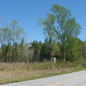 Photo of UNDER CONTRACT!  64.37 Acres of Farm and Hunting Land For Sale in Brunswick County NC!