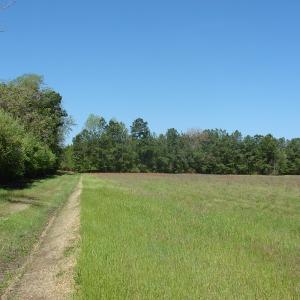 Photo of UNDER CONTRACT!  64.37 Acres of Farm and Hunting Land For Sale in Brunswick County NC!