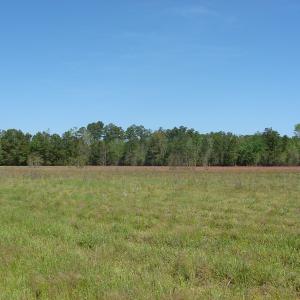 Photo of UNDER CONTRACT!  64.37 Acres of Farm and Hunting Land For Sale in Brunswick County NC!