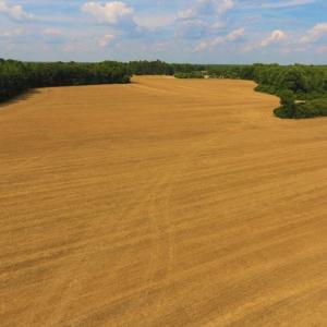Photo of UNDER CONTRACT!  36.69 Acres of Farm and Timber Land For Sale In Edgecombe County NC!