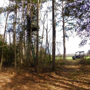 Photo of UNDER CONTRACT!  36.69 Acres of Farm and Timber Land For Sale In Edgecombe County NC!