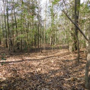 Photo of UNDER CONTRACT!  36.69 Acres of Farm and Timber Land For Sale In Edgecombe County NC!