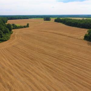 Photo of UNDER CONTRACT!  36.69 Acres of Farm and Timber Land For Sale In Edgecombe County NC!