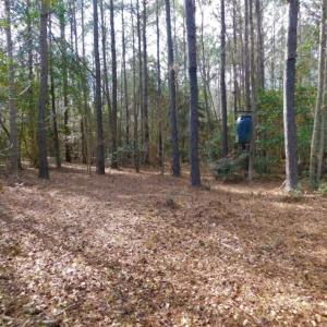 Photo of UNDER CONTRACT!  36.69 Acres of Farm and Timber Land For Sale In Edgecombe County NC!