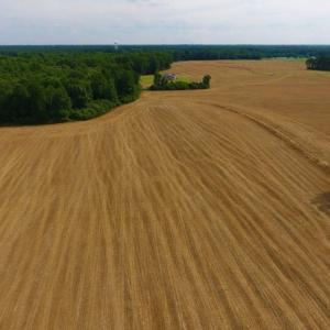 Photo of UNDER CONTRACT!  36.69 Acres of Farm and Timber Land For Sale In Edgecombe County NC!