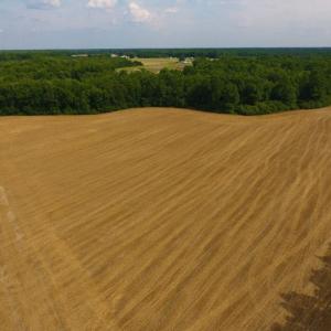 Photo of UNDER CONTRACT!  36.69 Acres of Farm and Timber Land For Sale In Edgecombe County NC!