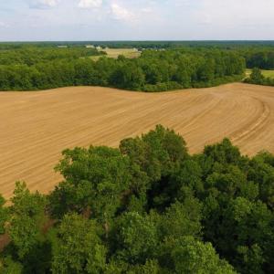 Photo of UNDER CONTRACT!  36.69 Acres of Farm and Timber Land For Sale In Edgecombe County NC!